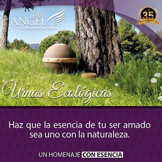 servicios_urnas_ecologicas